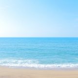 夢に見た生活はどんなものですか？