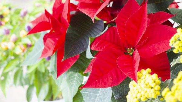 暖かく安心する家をつくるお手伝い