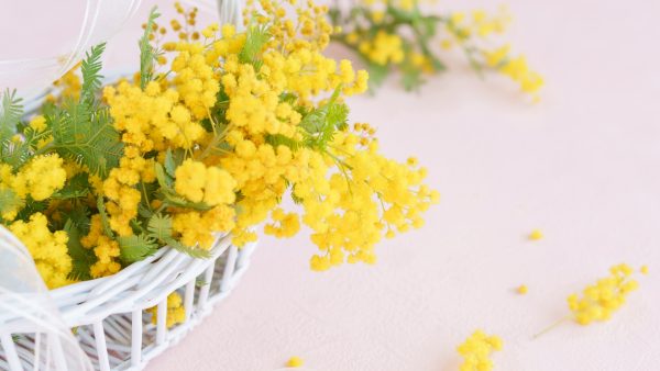 安心して暮らし続けられる家づくり